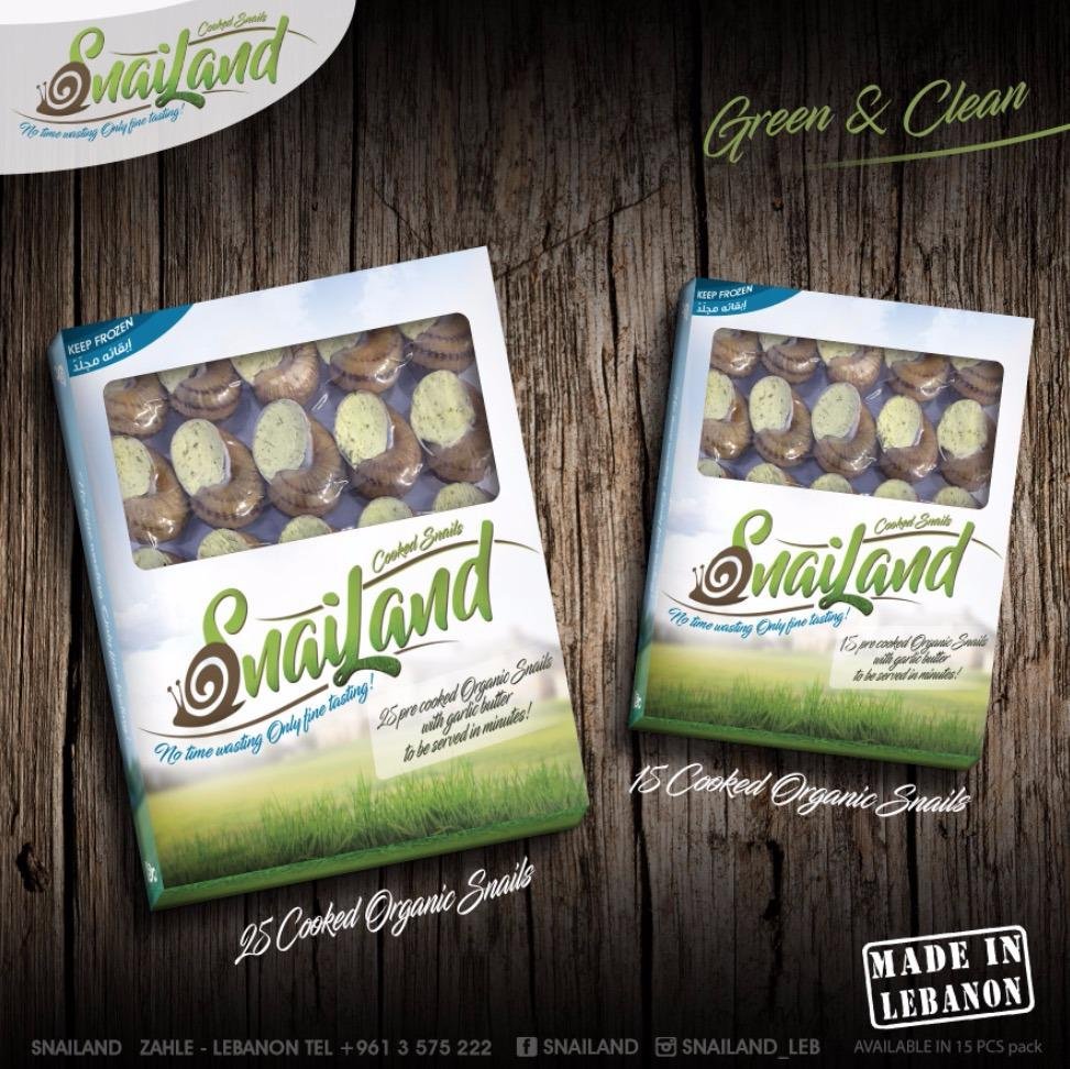 A 3D render of the final SnailLand product packaging.